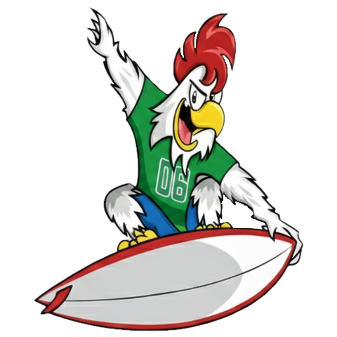 Dirty Birds Mascot